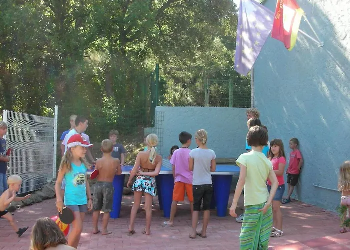 Camping Mobil Confortable Avec Terrasse A - Api-1-52-332